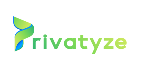 Privatyze Logo -16